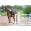 Horse-friends Lammfell-Schabracke Mesh
