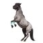 PROTECT by Horse-friends Bandagen, für Minishettys und Shetty