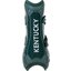 KENTUCKY Springgamaschen Bamboo Shield, für Vorderbeine