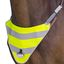 PROTECT by Horse friends Brustreflektor mit Blinklicht
