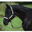 PROTECT by Horse-friends Halfter
