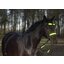 PROTECT by Horse-friends Reflex-Trensen-Set