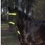 PROTECT by Horse-friends Reflex-Trensen-Set