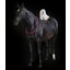 PROTECT by Horse-friends LED-Halsteil für Pferde