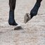PROTECT by Horse-friends Gamaschen Valencia, für die Vorderbeine