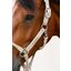 ESKADRON Classic Sports Halfter Leather Double Pin