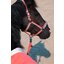 ESKADRON Classic Sports Halfter Double Pin