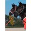ESKADRON Classic Sports Halfter Double Pin