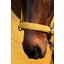 ESKADRON Platinum Halfter Faux Leather Double Pin