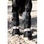 ESKADRON Platinum Hufglocken Softlate FauxFur