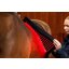 HORSEWARE Pad LED Red Light Therapy
