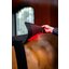 HORSEWARE Pad LED Red Light Therapy