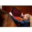 HORSEWARE Pad LED Red Light Therapy