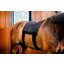 HORSEWARE Pad LED Red Light Therapy