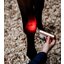 HORSEWARE Therapiestab LED Red Light Therapy