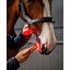 HORSEWARE Therapiestab LED Red Light Therapy
