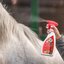 leovet Mähnenspray Power Striegel Kamille