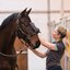 EQUINE-MICROTEC Pflegehandschuh-Set