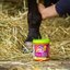 EQUinatura ICE COOL Gel