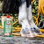 leovet Teebaum body wash