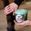 leovet Cold Pack Apothekers Pferdesalbe