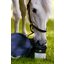 EQUANIS GastroActive