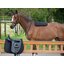 Horse-friends Memory-Foam-Pad
