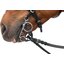 Horse-friends Pelham-Riemchen