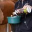 leovet Bronchial-Elixier mit Echinacea