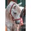 leovet Power Shampoo mit Kamille