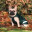 bucas Hundemantel Dog Rug Freedom 50 g