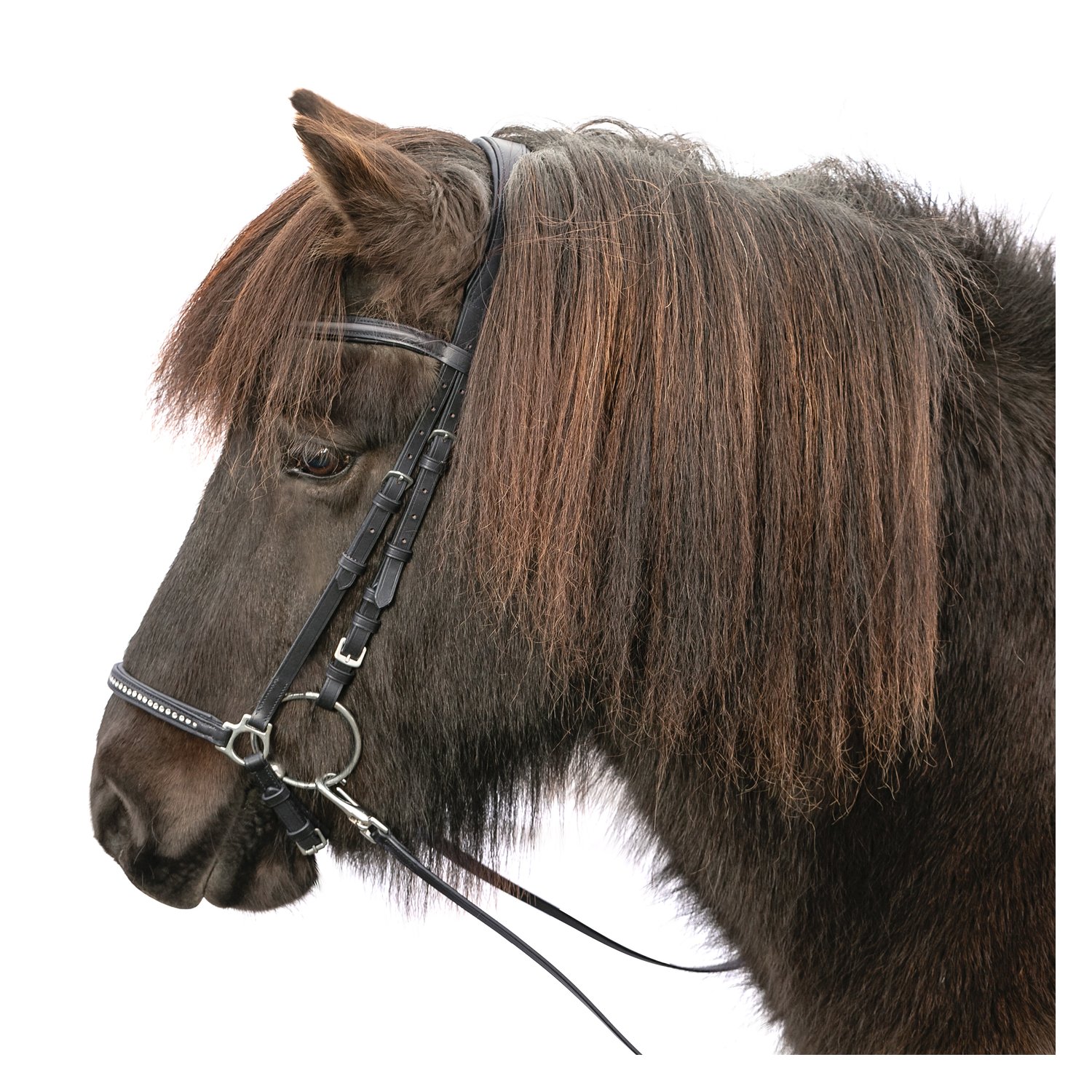 Loesdau Island-Trensenzaum Dalvik – Ansicht 2