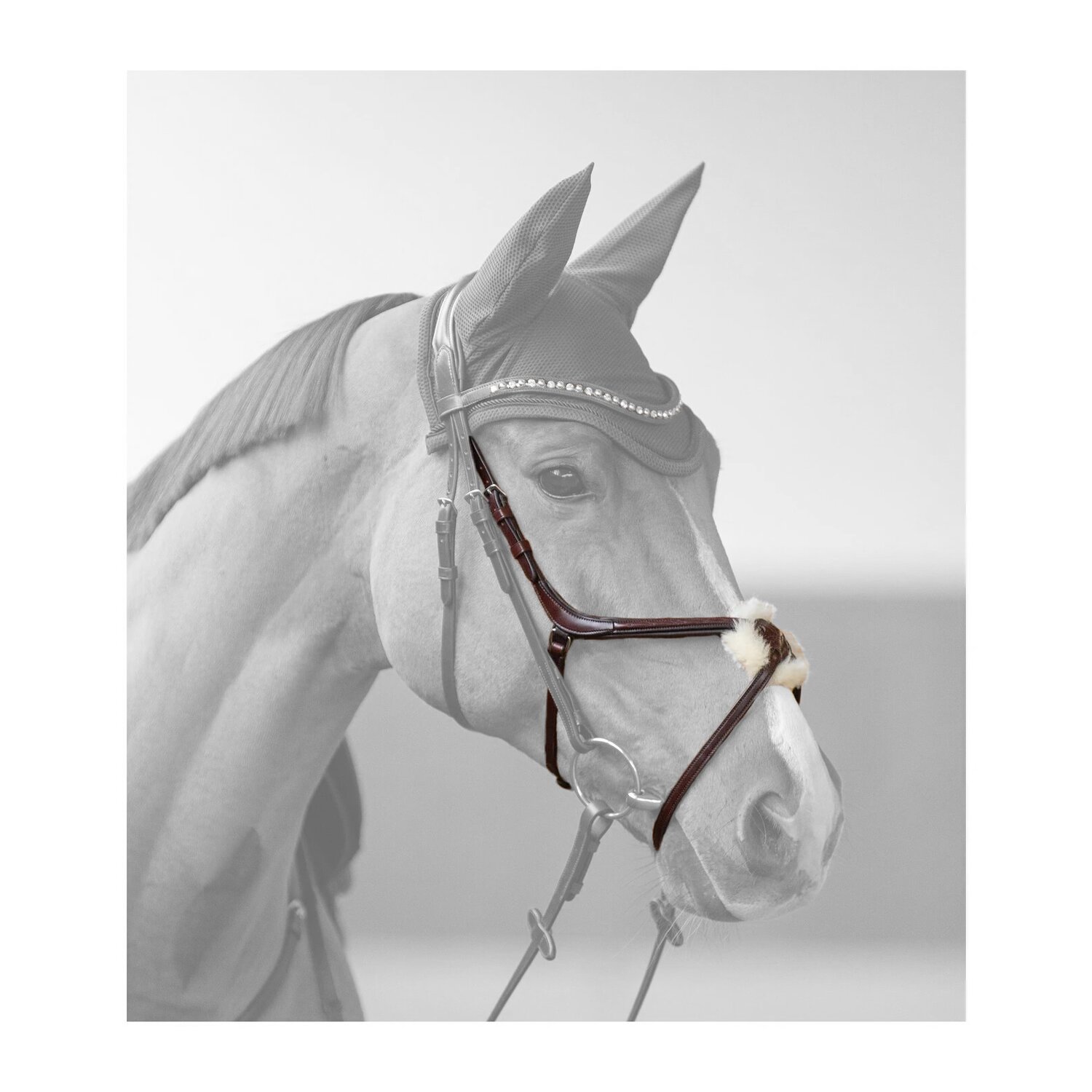 DÖBERT Mexikanisches Reithalfter &ndash; Ansicht 3