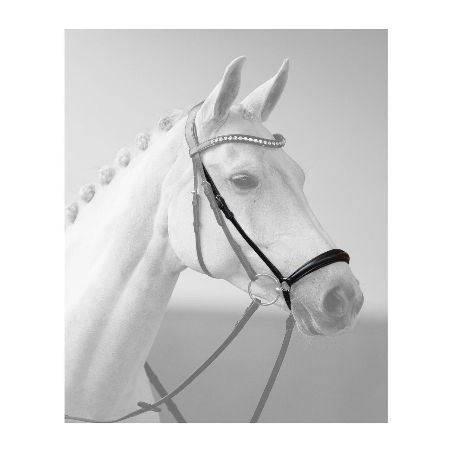 DÖBERT Hannoversches Reithalfter &ndash; Ansicht 3