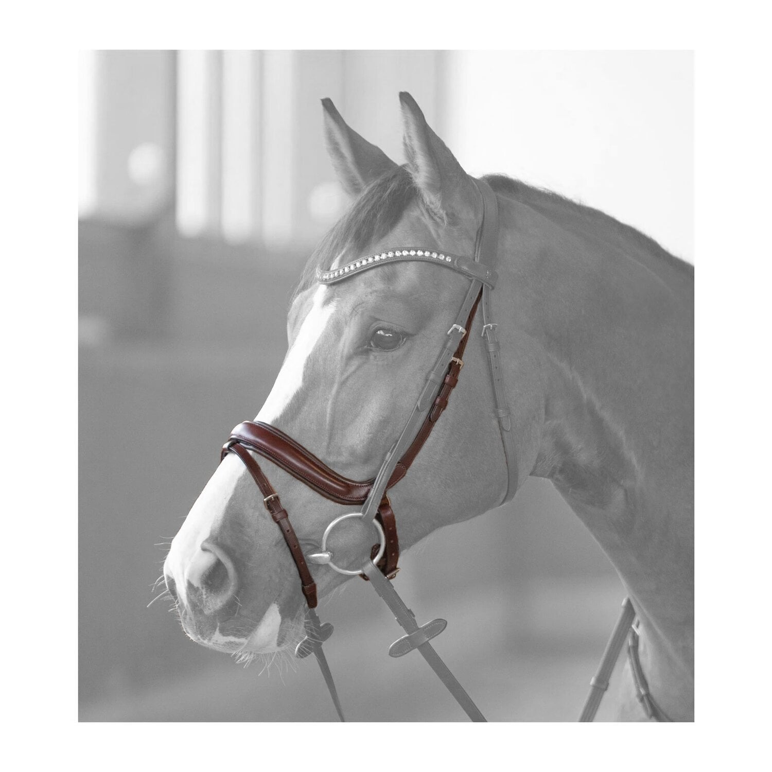 DÖBERT Anatomisches Reithalfter &ndash; Ansicht 2