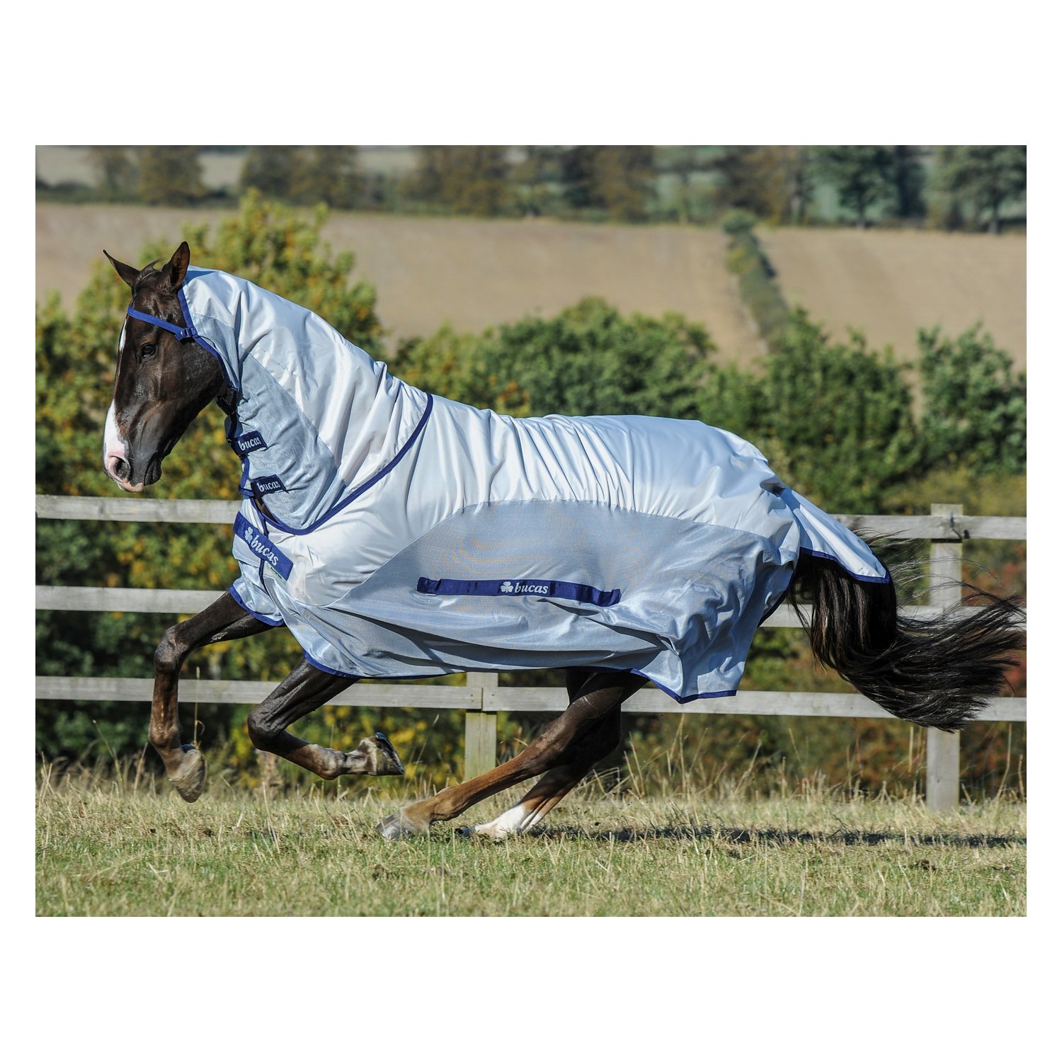 Bucas Sommerdecke Buzz-Off Rain – Ansicht 1