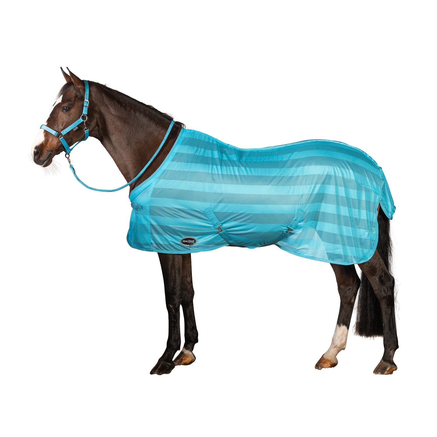 Horse-friends Fliegendecke Basic &ndash; Ansicht 2
