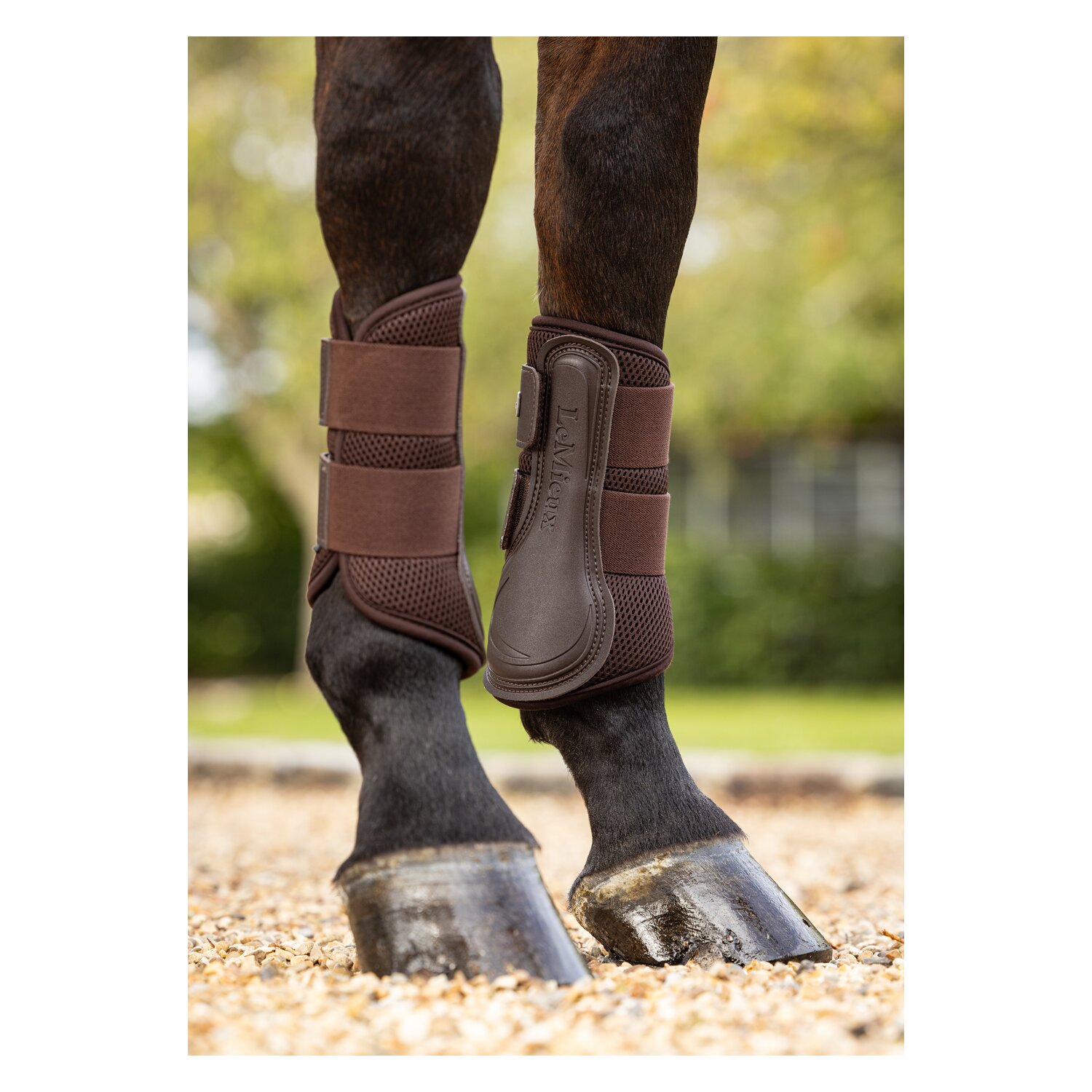 LeMieux Core Gamaschen Mesh, für Vorder- und Hinterbeine – Ansicht 3