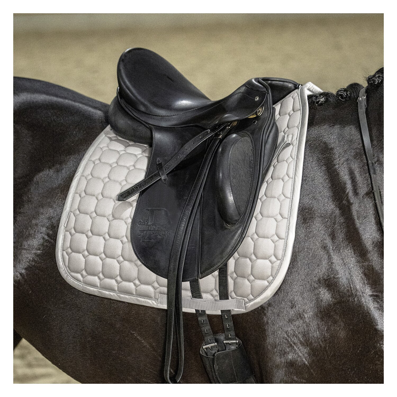ESKADRON Platinum Schabracke Cotton &ndash; Ansicht 3