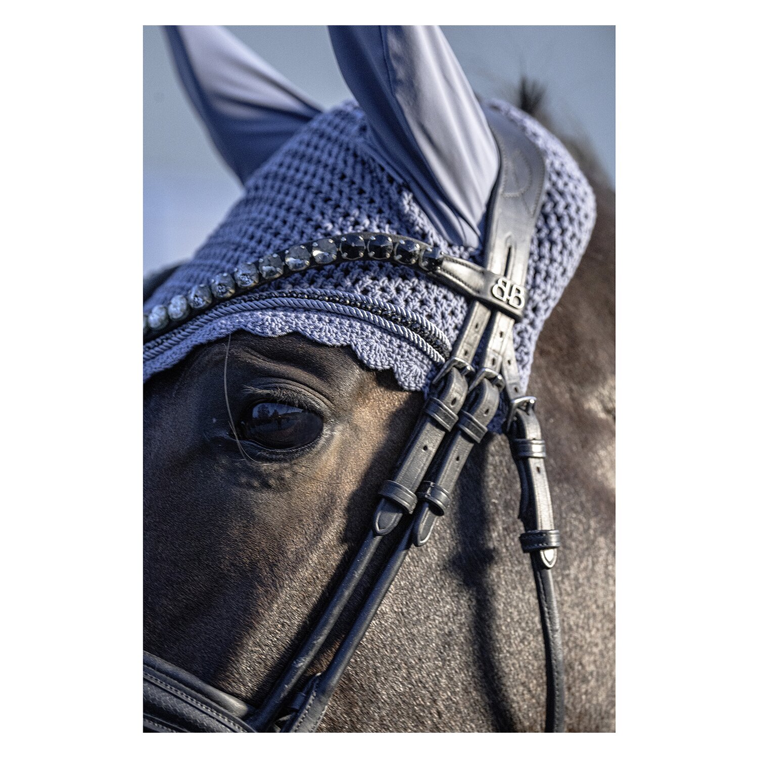 ESKADRON Platinum Fliegenohren Crystal &ndash; Ansicht 2
