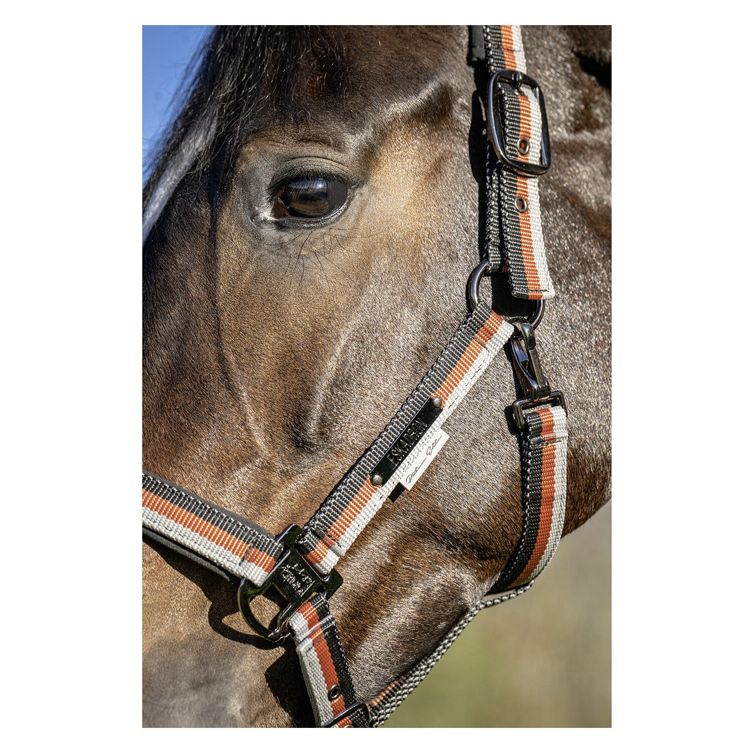 ESKADRON Platinum Halfter Lightweight Double Pin &ndash; Ansicht 3