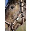 Miniaturansicht: ESKADRON Platinum Halfter Lightweight Double Pin &ndash; Ansicht 3