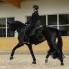 Miniaturansicht: ESKADRON Platinum Fleecebandagen Fleece &ndash; Ansicht 4