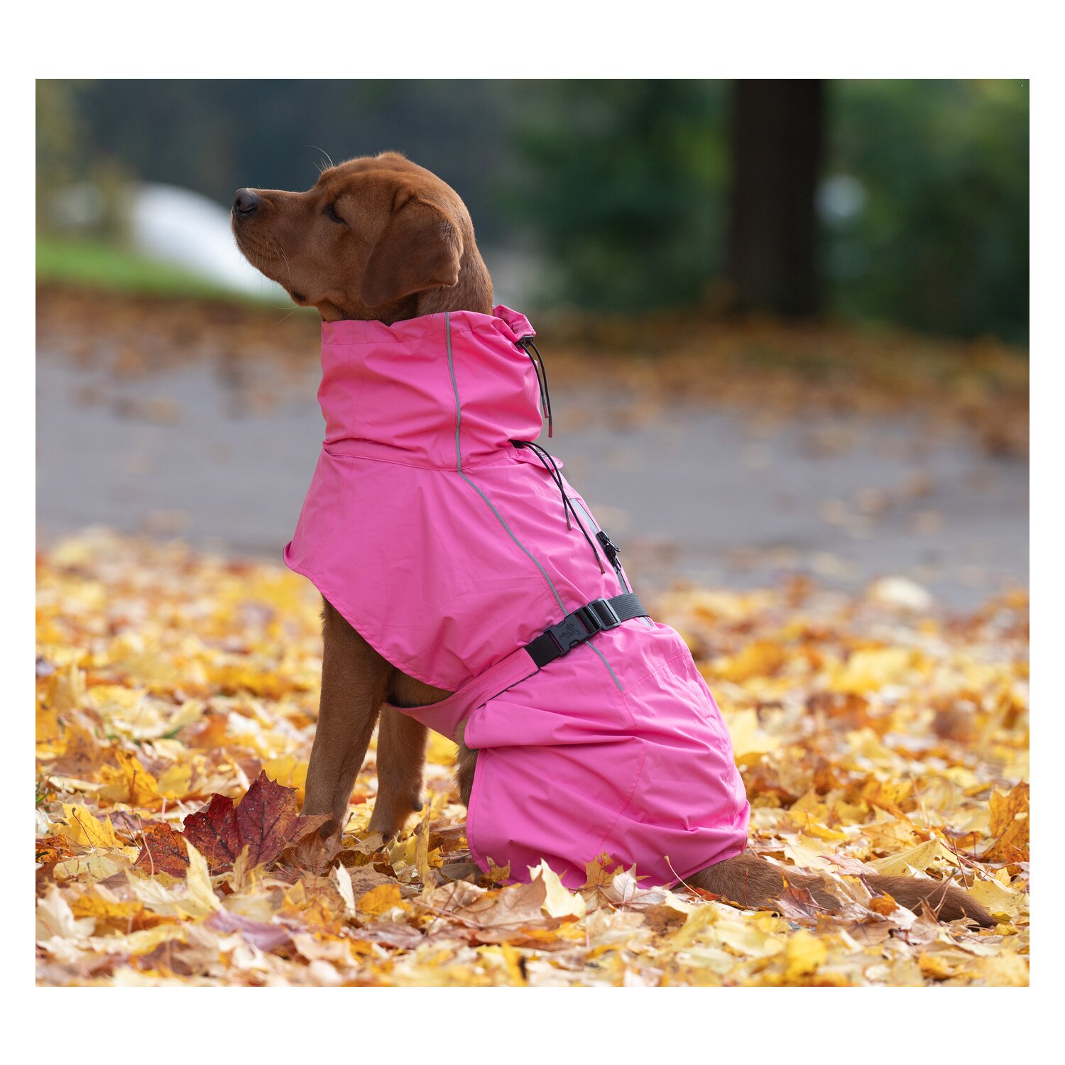pawberry Hunde-Regenmantel Rainstormer
