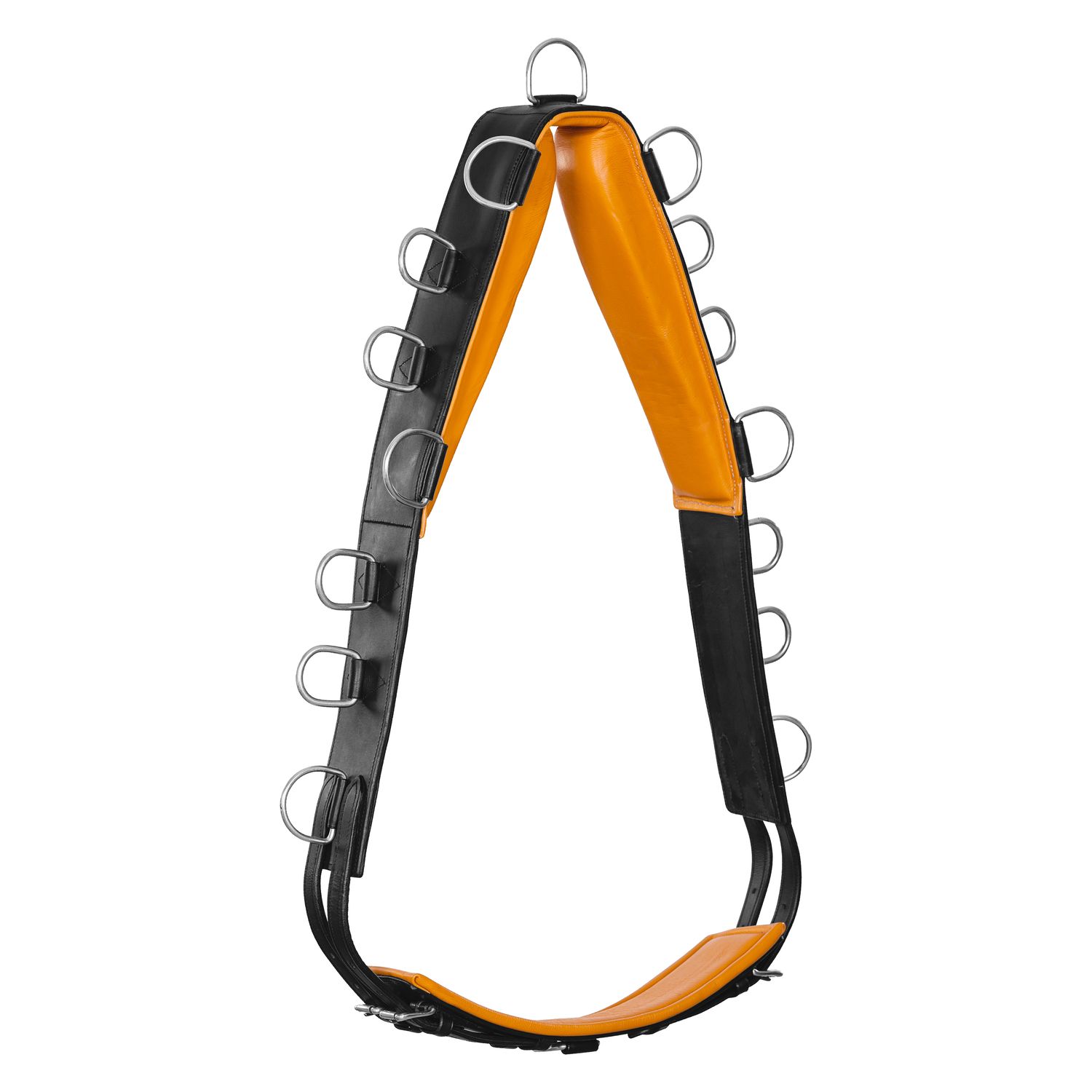 Starker Leder-Longiergurt