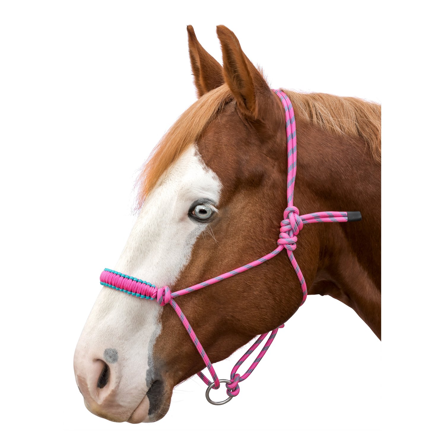 Veste D'équitation Femme L-Pro West Sans Manches, Noire, Taille S – Avec Capuche