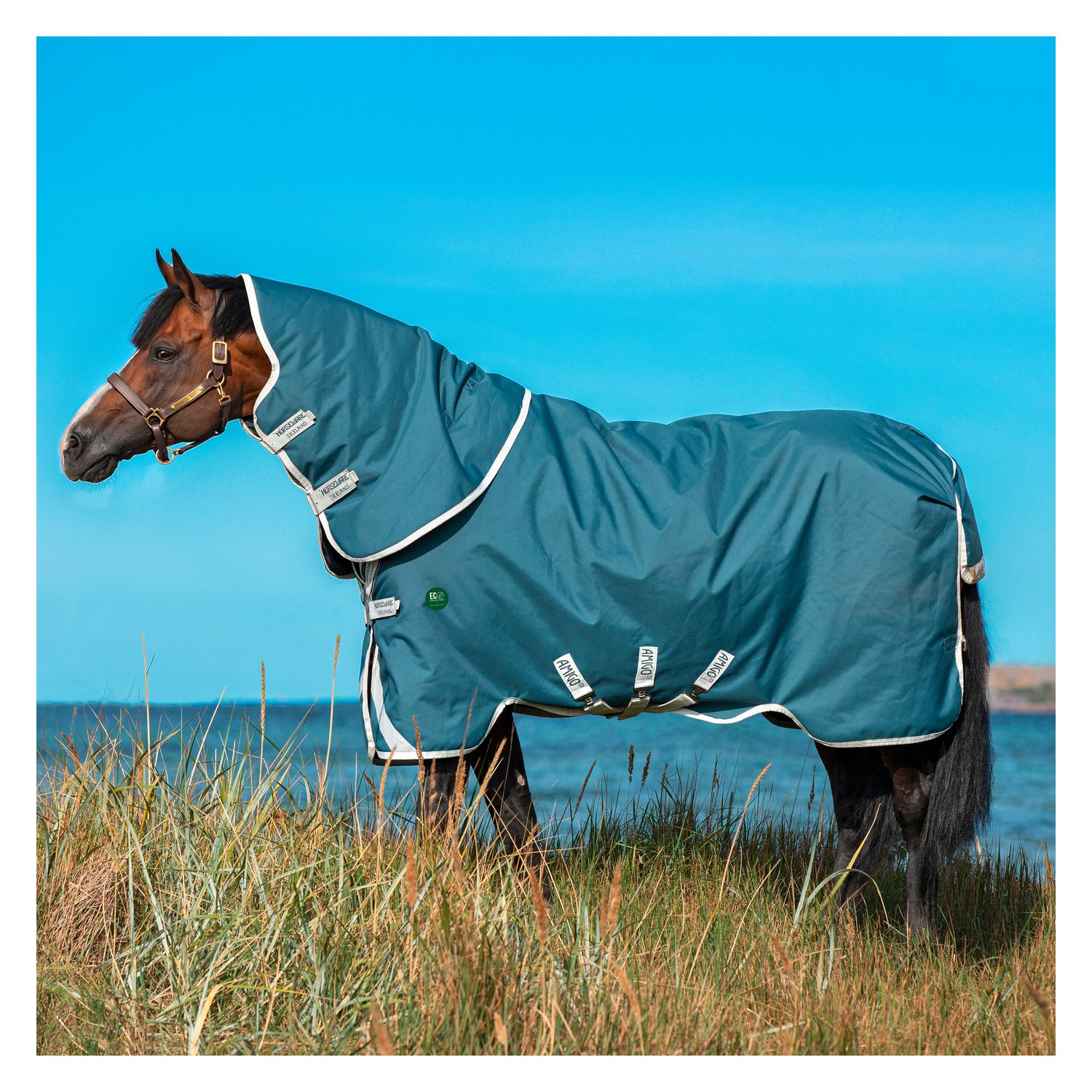 HORSEWARE Outdoordecke AMIGO AmEco 12 Plus Turnout
