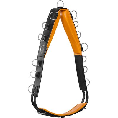 Starker Leder-Longiergurt