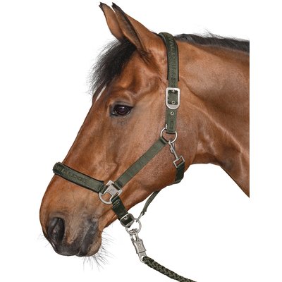 Cheval de Luxe Halfter