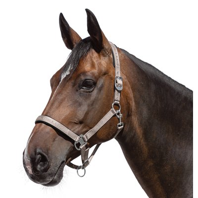 Cheval de Luxe Halfter